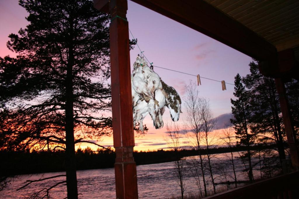 Luongasloma Chalets Palojoensuu Стая снимка